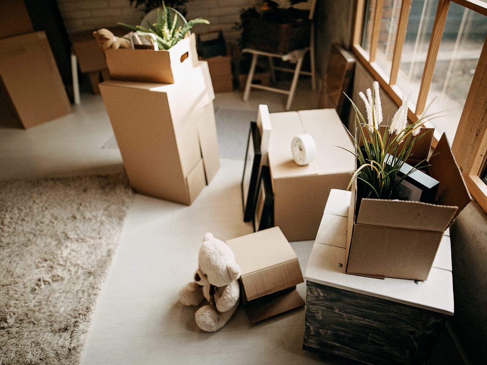 Packed cardboard boxes, houseplants and belongings ready to move in a living room